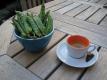 How To Make Flemish Garden Peas