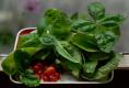 Garden Salad Bowl