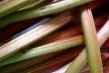How To Make Garden Vegetable Spread