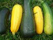 How To Make Garden Vegetable Stuffing