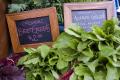 How To Make Garden Vegetable Toss