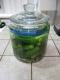 How To Make Garlic-dill Pickles