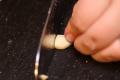 How To Make Garlic And Potato Sauce