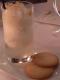 How To Make Gingered Pear Sorbet