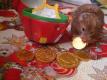 How To Make Vegetable Gold Coin