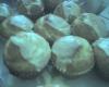 Good Morning Muffins