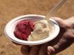 Gooseberry Ice Cream