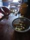 How To Make Gooseberry Sauce