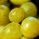 How To Make Grape Ring