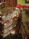 Martha Washington's Great Cake
