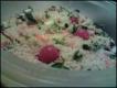 Green Bean Garbanzo Salad With Basil
