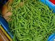How To Make Green Beans Napoli