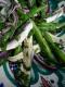How To Make Green Beans And Onion Salad