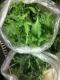 How To Make Green Gumbo