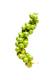 How To Make Pheasant With Green Peppercorns