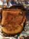 Grilled Cheddar Cheese Sandwich