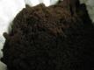 How To Make Freshly Ground Coffee
