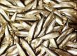 How To Make Gudgeon