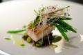 Halibut Ragout