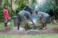 How To Make Hawaiian Coconut