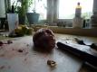 How To Make Heart And Stuffing