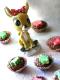 How To Make Holiday Chocolates