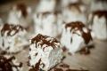 Homemade Marshmallows