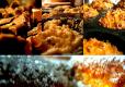 How To Make Honey Bran Muffins