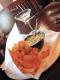 How To Make Hot Crab Cheese Dip