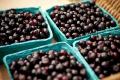How To Make Wild Huckleberry Pie