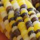 How To Make Indian Corn