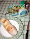 Italian Butter Cookies