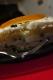 How To Make Cassata - Italian Ice Cream Cake