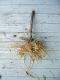 How To Make Jerusalem Artichokes