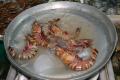 How To Make Kung Po Prawns