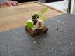 How To Make Lac La Ronge Lake Trout