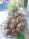Lamb Meat Balls