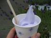 Lavender Ice Cream