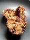 How To Make Lemon Almond Cookies