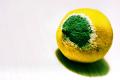 How To Make Lemon And Coconut Mold