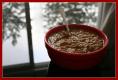 How To Make LENTIL SOUP