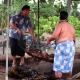 How To Make Luau Roast