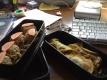 
Lunch Box Turnovers   