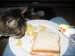 Luncheon Sandwich
