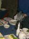How To Make Marinated Citrus Fish Salad