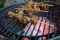 Marinated Skewered Beef