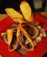 How To Make Mashed Parsnips
