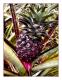 How To Make Meat Loaf With Pineapple