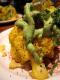 How To Make Mediterranean Cauliflower