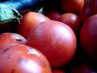 How To Make Mediterranean Sauce